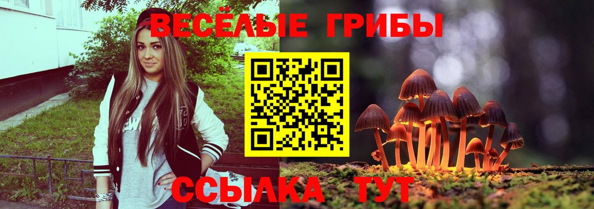Псилоцибиновые грибы ЛСД  Вход с VPN  Галлюциногенные грибы мицелий  Великие Луки 