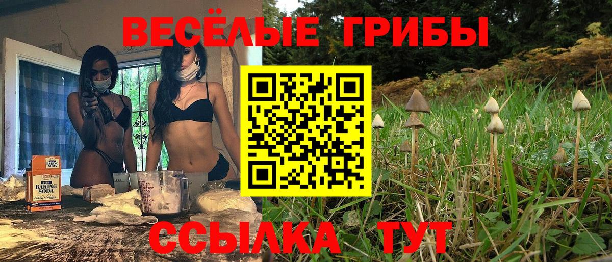 ГАШИШ  Вход с VPN  Меф   Великие Луки  ГАШ  МАРИХУАНА  Cocaine 